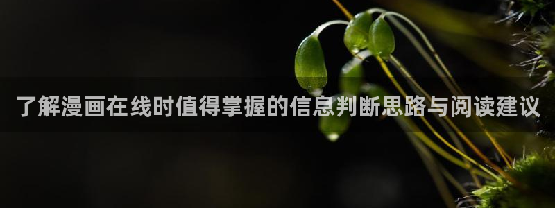 漫漫漫画漫画网站