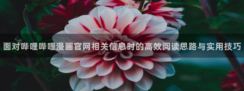漫画屋网站入口